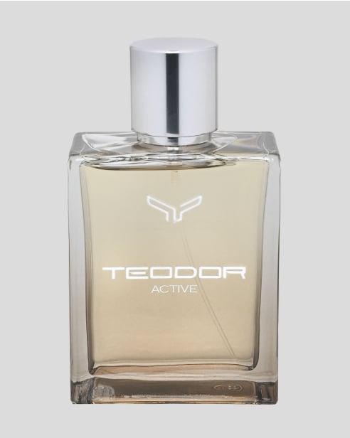 МЪЖКИ ПАРФЮМ TEODOR AKTIVE 100 ML