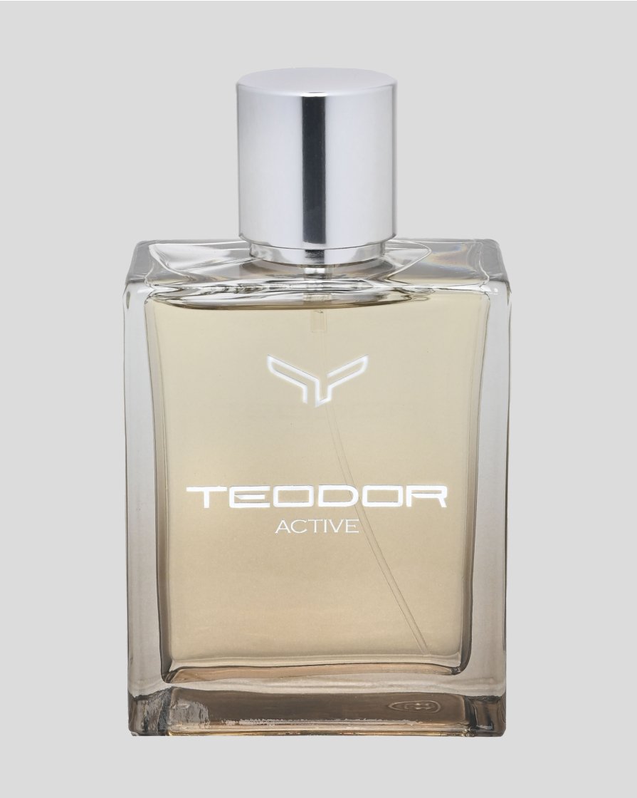 МЪЖКИ ПАРФЮМ TEODOR AKTIVE 100 ML